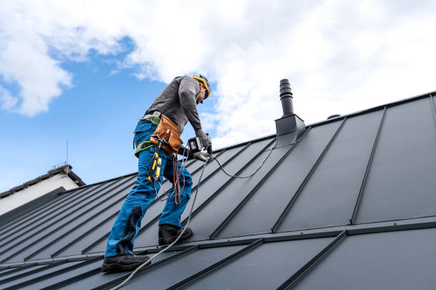 Best Solar Panel Roofing Installation  in Avonia, PA